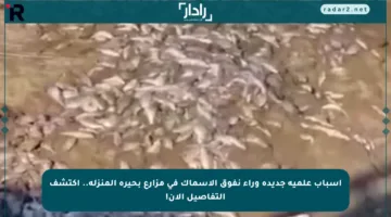 أسباب علمية جديدة وراء نفوق الأسماك في مزارع بحيرة المنزلة.. اكتشف التفاصيل الآن!